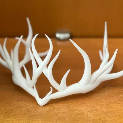 Sylvan Halo - Vòng Nguyệt Quế Ma Thuật