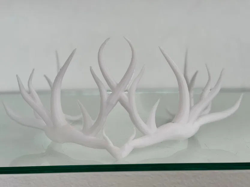 Sylvan Halo - Vòng Nguyệt Quế Ma Thuật - Image 3