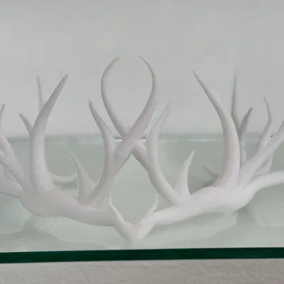 Sylvan Halo - Vòng Nguyệt Quế Ma Thuật