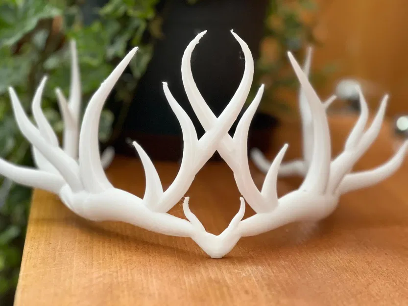 Sylvan Halo - Vòng Nguyệt Quế Ma Thuật - Image 4