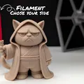 Darth Grumpy Cat - Mèo Khó Ở Biết Cảm Nhận Sự Hiện Diện - Thumbnail 1