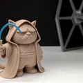 Darth Grumpy Cat - Mèo Khó Ở Biết Cảm Nhận Sự Hiện Diện - Thumbnail 10