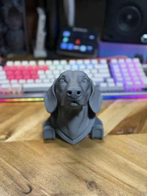 Treo Tường Chó Dachshund Lông Ngắn - Image 4