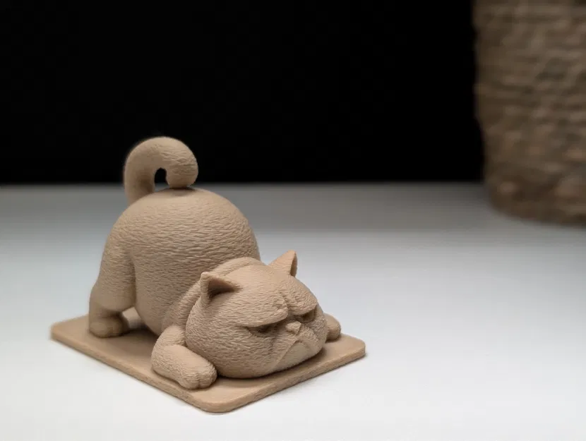 Mèo Cau Có Tập Yoga - Image 1