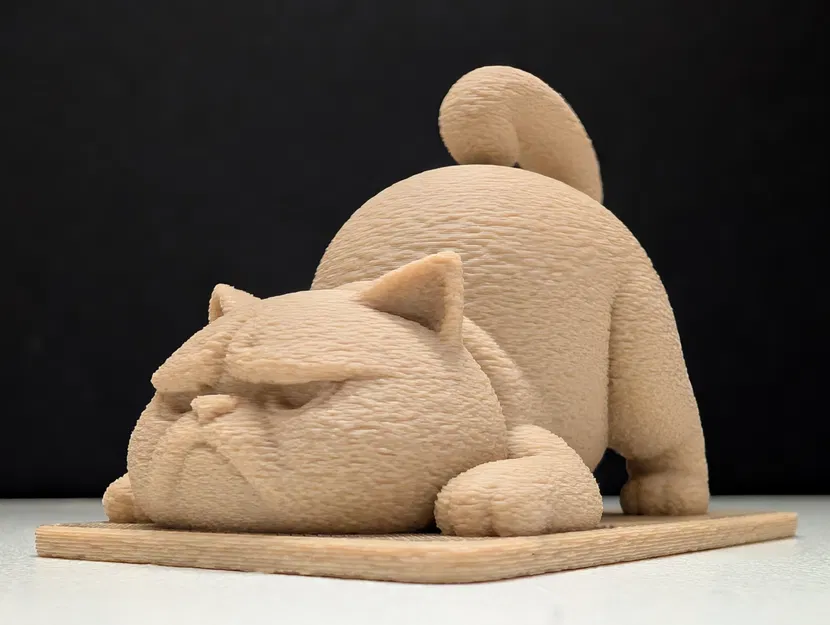 Mèo Cau Có Tập Yoga - Image 2