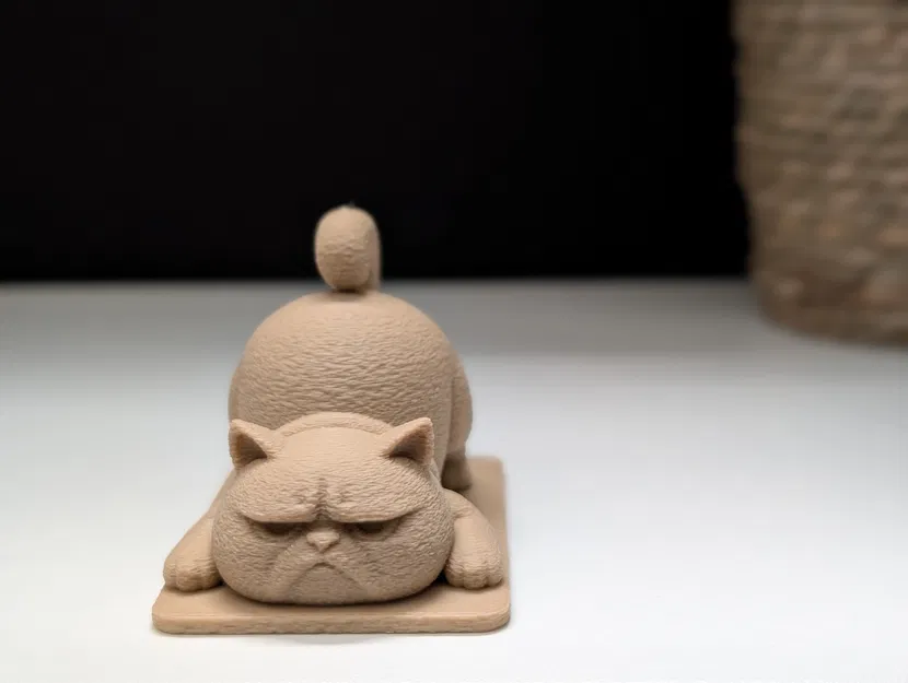 Mèo Cau Có Tập Yoga - Image 3