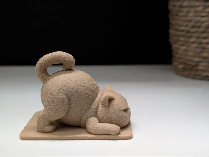 Mèo Cau Có Tập Yoga - Image 5