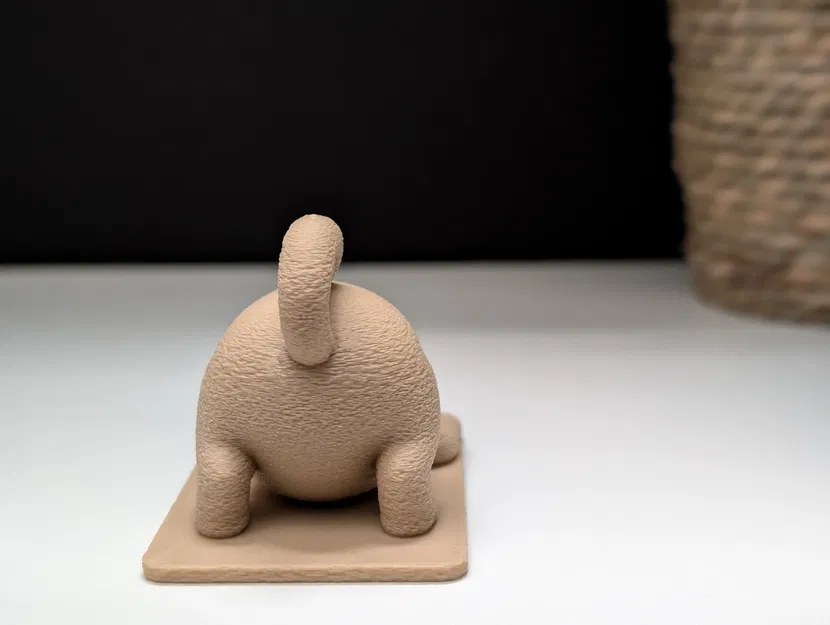 Mèo Cau Có Tập Yoga - Image 7