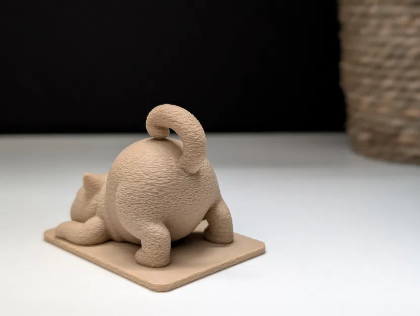 Mèo Cau Có Tập Yoga - Image 8