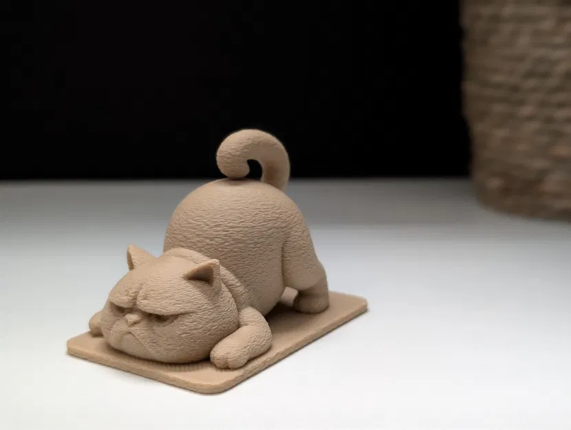 Mèo Cau Có Tập Yoga - Image 10