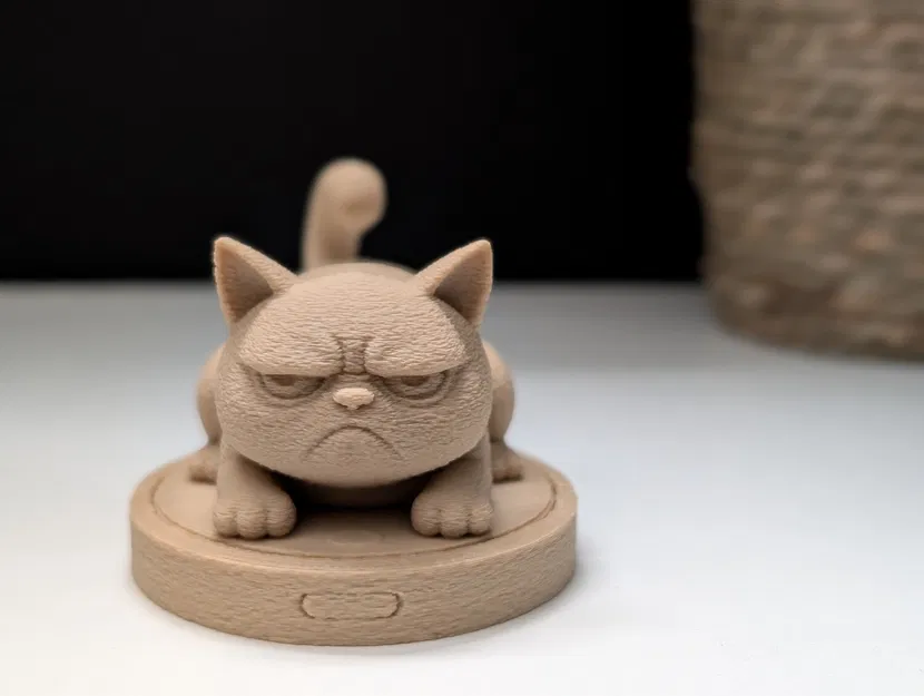 Mèo Gằn Mặt Trên Xe Roomba - Image 2