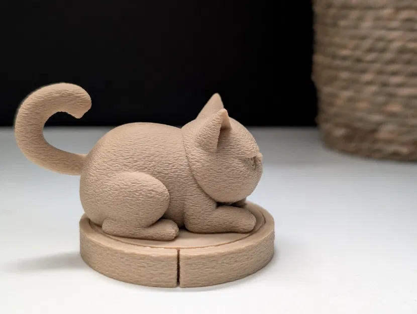 Mèo Gằn Mặt Trên Xe Roomba - Image 4