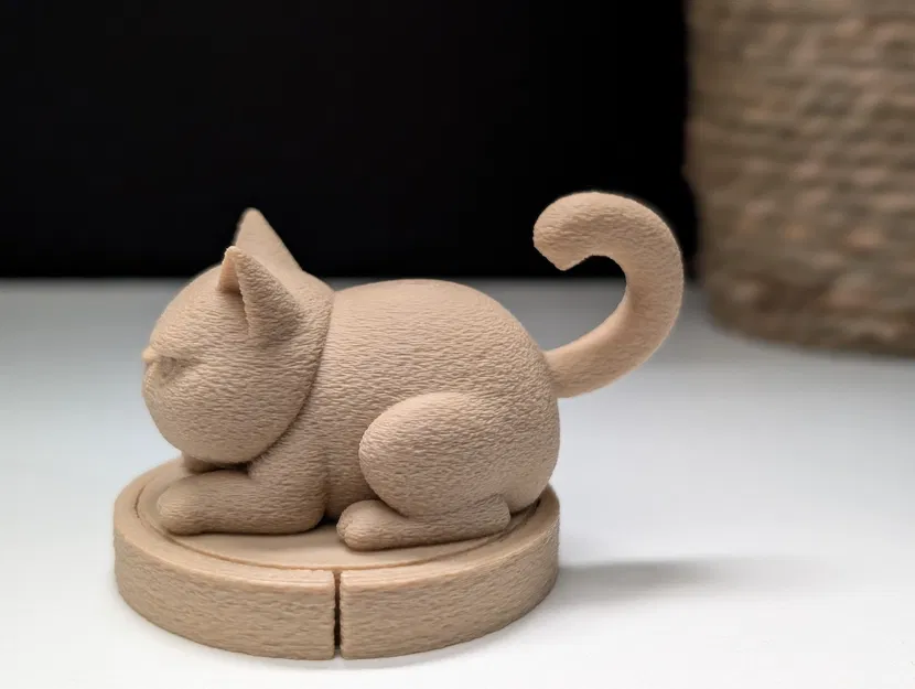 Mèo Gằn Mặt Trên Xe Roomba - Image 8