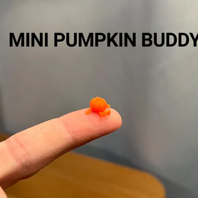 Mini Pumpkin Buddy Tí Hon Siêu Dễ Thương