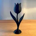 Trang Trí Hoa Tulip - Thumbnail 1