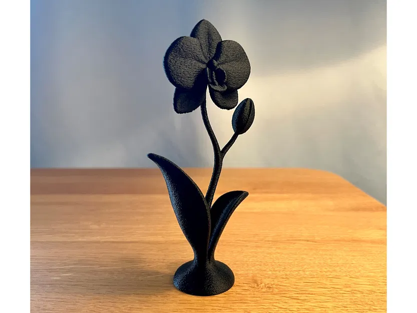 Chậu Hoa Lan Trang Trí Decor - Image 1