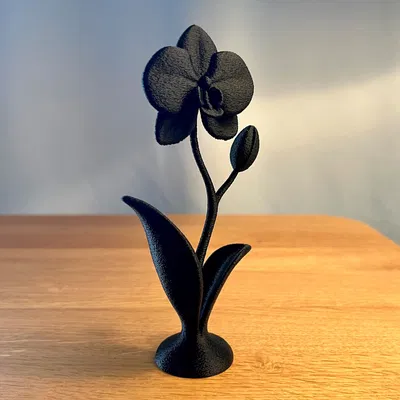 Chậu Hoa Lan Trang Trí Decor