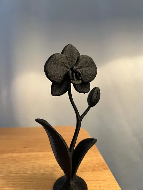 Chậu Hoa Lan Trang Trí Decor - Image 2