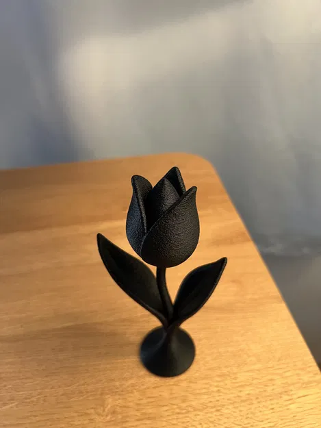 Trang Trí Hoa Tulip - Image 2