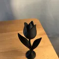 Trang Trí Hoa Tulip - Thumbnail 2