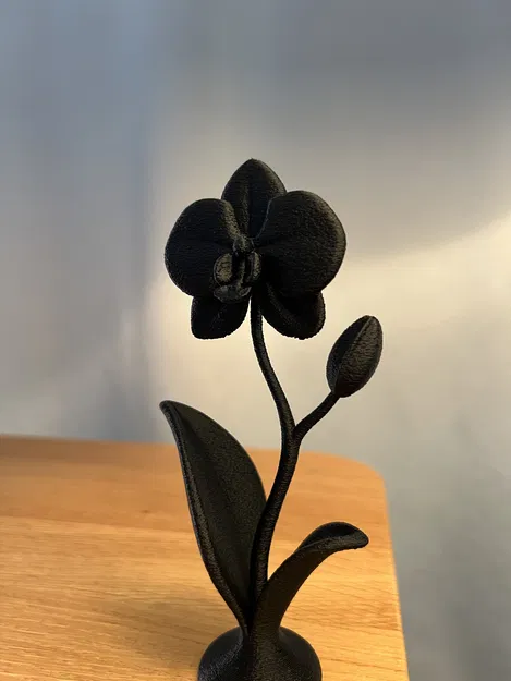 Chậu Hoa Lan Trang Trí Decor - Image 3