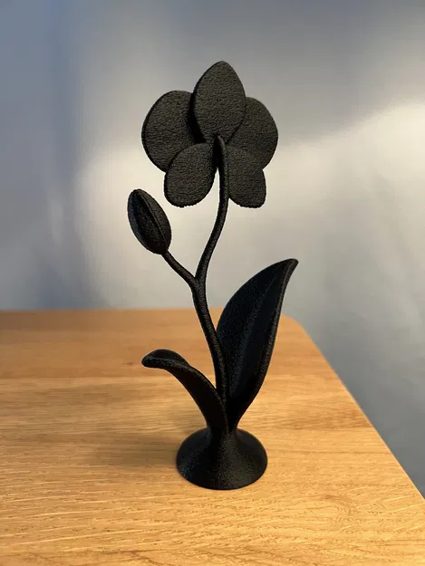 Chậu Hoa Lan Trang Trí Decor - Image 4