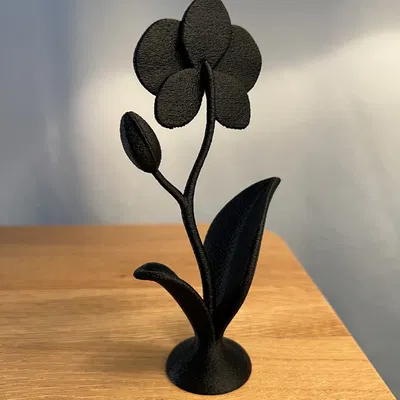 Chậu Hoa Lan Trang Trí Decor