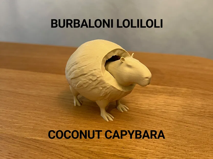 Burbaloni Loliloli - Capybara Dừa - Image 1