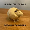 Burbaloni Loliloli - Capybara Dừa - Thumbnail 1
