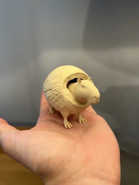 Burbaloni Loliloli - Capybara Dừa - Image 2