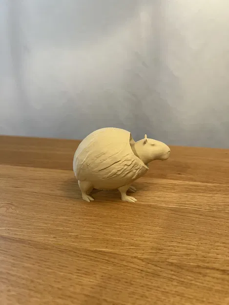 Burbaloni Loliloli - Capybara Dừa - Image 3