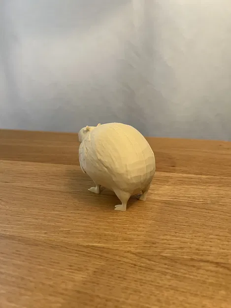 Burbaloni Loliloli - Capybara Dừa - Image 4