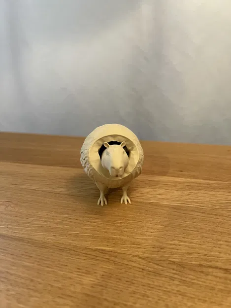 Burbaloni Loliloli - Capybara Dừa - Image 5