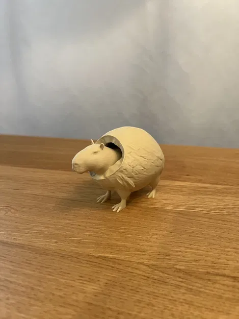 Burbaloni Loliloli - Capybara Dừa - Image 6