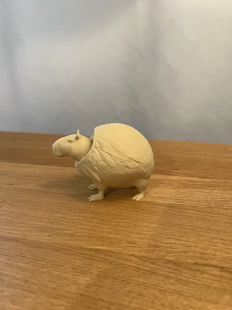 Burbaloni Loliloli - Capybara Dừa - Image 7