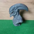 Tượng Xenomorf - Thumbnail 2