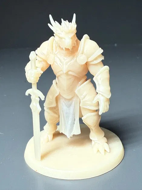 Draconian Paladin Cho Dungeons and Dragons DND - Image 1