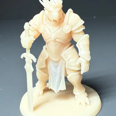 Draconian Paladin Cho Dungeons and Dragons DND