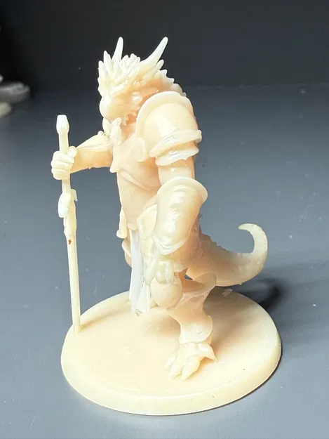 Draconian Paladin Cho Dungeons and Dragons DND - Image 2