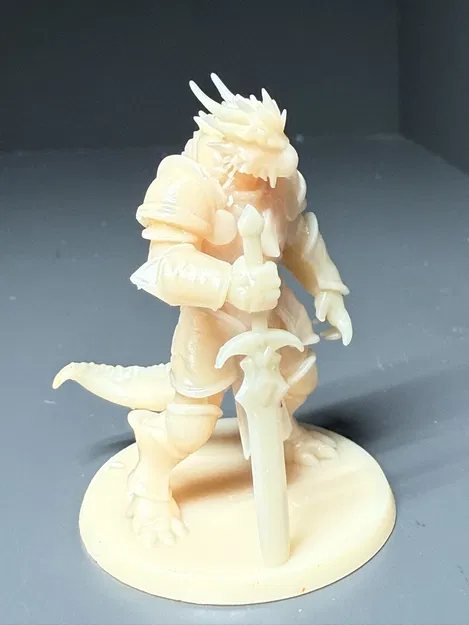 Draconian Paladin Cho Dungeons and Dragons DND - Image 3