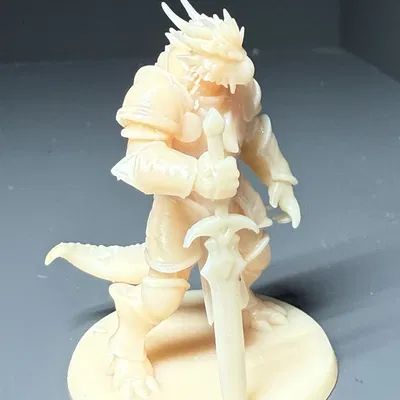 Draconian Paladin Cho Dungeons and Dragons DND