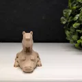 Capybara Low Poly Đậu Trên Lưng Cá Sấu Ngủ - Thumbnail 2