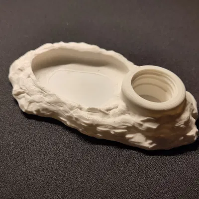 Tô Đá Tự Cấp Nước Cho Terrarium