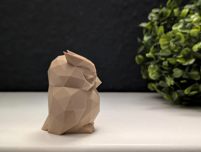 Cú Lười Lặn Nhịp Đơn Giản - Image 4