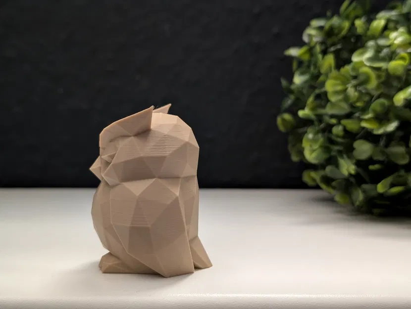 Cú Lười Lặn Nhịp Đơn Giản - Image 8