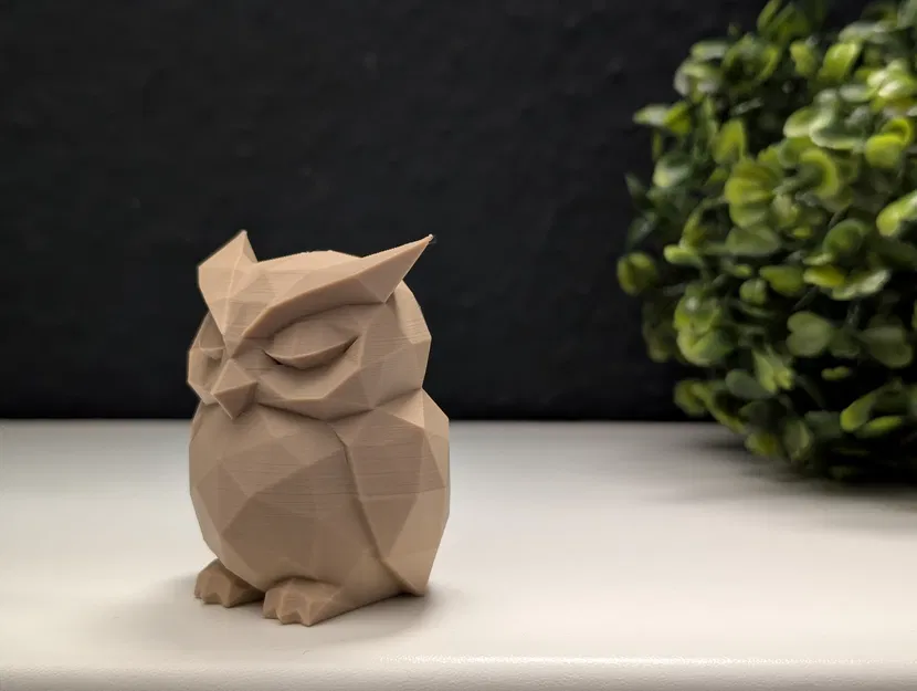 Cú Lười Lặn Nhịp Đơn Giản - Image 9