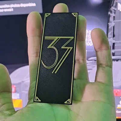 Huy Hiệu Expédition 33