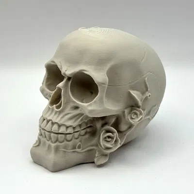 Hoa Tử Thần – Đầu Lâu Trang Trí với Hoa Hồng