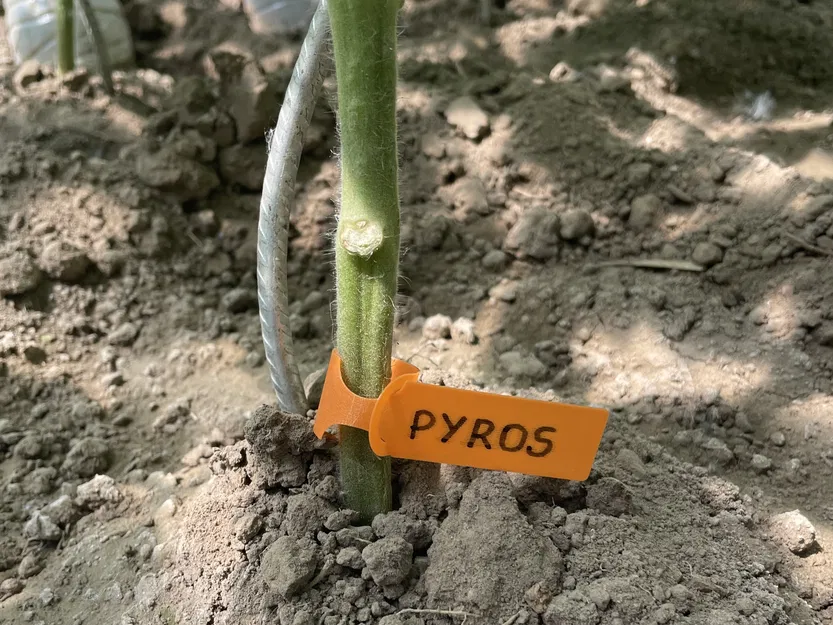 NHÃN - THẺ TÁI SỬ DỤNG - THẺ - (Đã kiểm tra) - Image 5