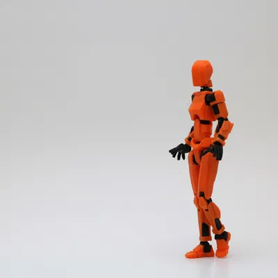 Dummy 13 - Phần thân trên nữ tính